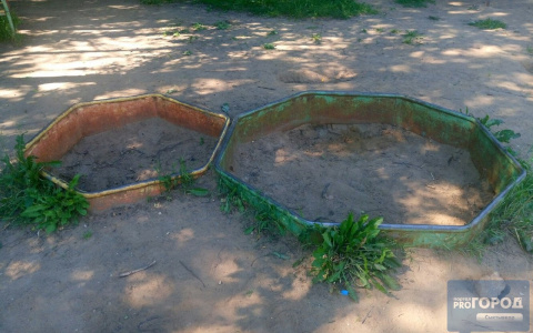 Появились фото со двора Сыктывкара, где дети нашли человеческую руку