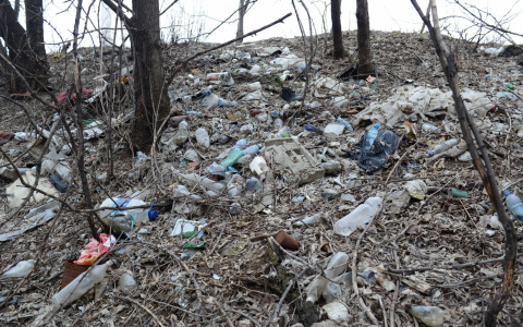 В Коми на городской свалке найдена нога женщины