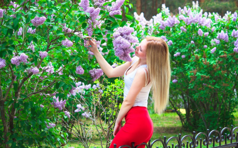 Сыктывкарское лето подходит к концу?