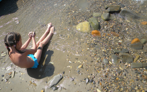 Погода в Сыктывкаре на 14 июля: станет еще жарче