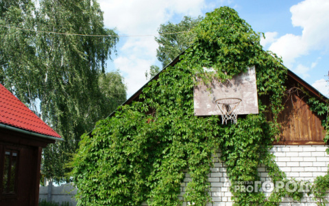 Стало известно имя победителя в конкурсе «Моя дача» на портале PG11.ru