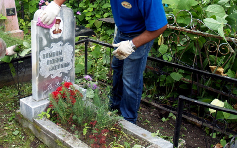 Пять вариантов для благоустройства участка захоронения в Сыктывкаре