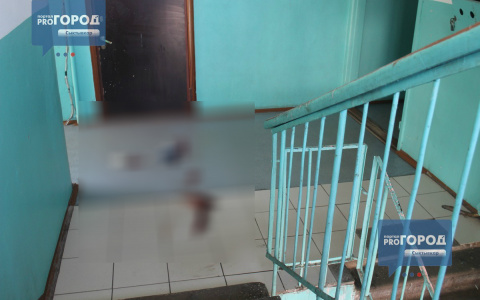 Появилось видео с места происшествия в центре Сыктывкара, где погиб мужчина