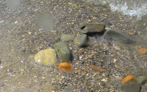 Появились подробности о погибшем сыктывкарце, тело которого достали из воды