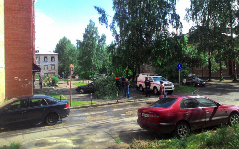 В Сыктывкаре на "Хендай" обрушилось дерево