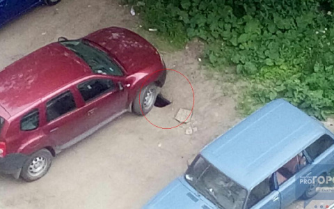 Дрожь земли: в сыктывкарском асфальте появились две новых дыры (фото)