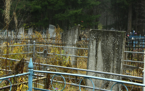 В Коми подросток-рецидивист осквернил чужие могилы