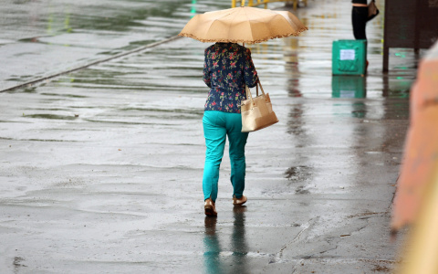 Погода в Сыктывкаре на 25 июля: кажется, нас зальет