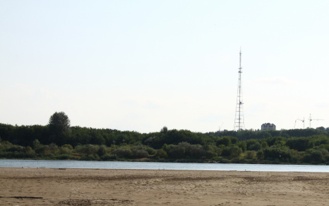 В Сыктывкаре разыскивают мужчину, пропавшего на пляже