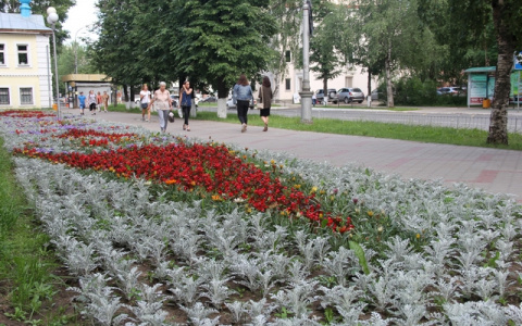 Как Сыктывкар готовится к Дню рождения Коми (фото)