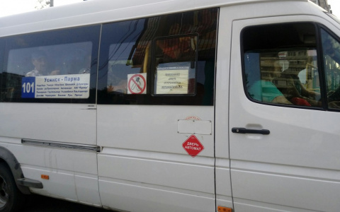 Жительница Коми едва не осталась без руки после поездки в автобусе