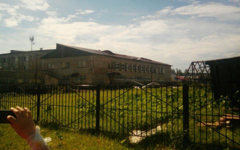 Выяснилось, что детей из школы-интерната в Коми несколько раз отправляли на рубку борщевика