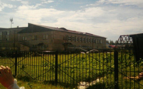 Следственный комитет Коми возбудил уголовное дело по факту, как дети из школы-интерната рубили борщевик