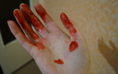 В одной из закусочных Коми из-за женщины произошла кровавая бойня