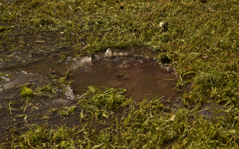 Возле Министерства экономики Коми бьет фонтан с нечистотами (фото)