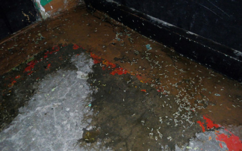 Сыктывкарцы о трех трупах в квартире, которых нашли по опарышам: «Люди, куда мы катимся?»