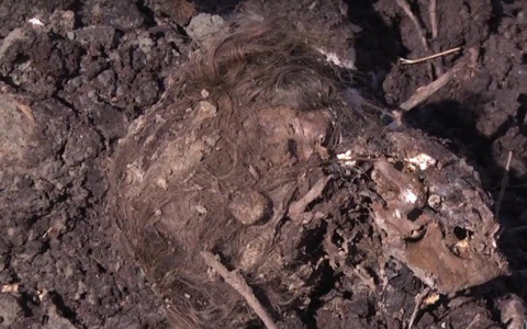 Выяснилось, имеет ли братская могила в Коми отношения к "лихим девяностым"