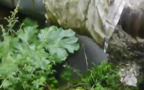 В Сыктывкаре из-за аварии на трубах в Орбите хлещет фонтан кипятка (видео)