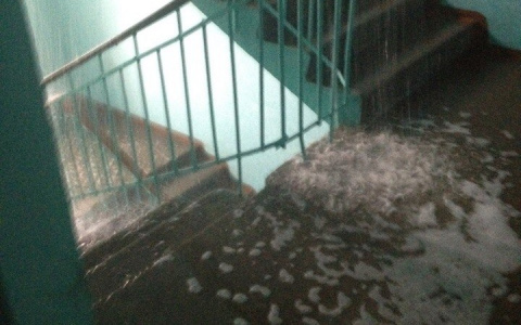 Коммунальщики прокомментировали водопад в подъезде жилого дома в Сыктывкаре