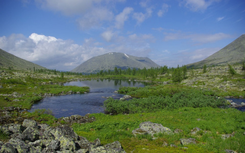 Во время проверки в нацпарке Югыд Ва поймали браконьера