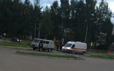 В Сыктывкаре пьяный мужчина проломил подростку голову хоккейной клюшкой (фото)