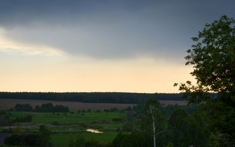 Погода в Сыктывкаре 6 августа: будет дождь, не забывайте зонтики
