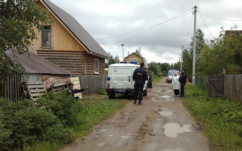 Появились фото с дач под Сыктывкаром, где мужчина 4 месяца хранил трупы съемщиков