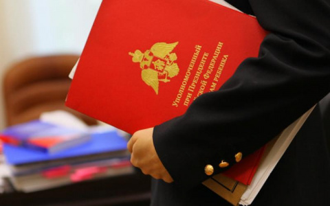 Детский омбудсмен: "Сирот в Пажге действительно заставили рубить борщевик"