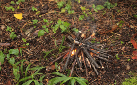 В Коми за выходные в лесу пропали четыре человека