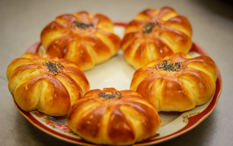 Представители народного хозяйства Коми будут налаживать отношения с помощью выставки