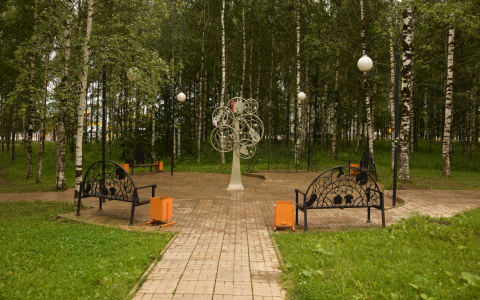 Сыктывкарский парк благоустроят на 32 миллиона рублей: что изменится? (фото)