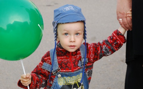 В Коми ребенок играл с трупом кошки в центре города