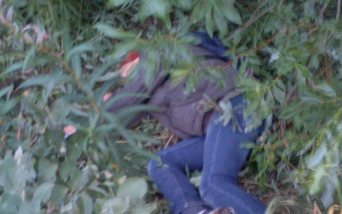 В Коми очевидцы запечатлели пьяного ребенка, который валялся в кустах (фото)