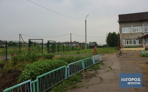 Разбор полетов: на Первом канале выяснили правду о рубке борщевика детьми из Коми (видео)