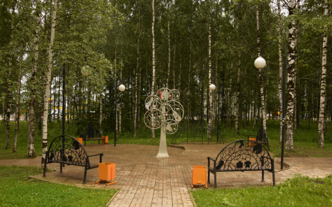 Сыктывкарцы возмущены проектом реконструкции Мичуринского парка