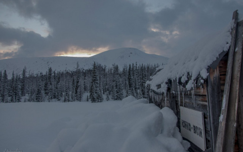 В Коми неизвестный монстр атаковал избушку геолога