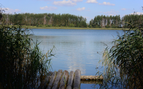 Погода в Сыктывкаре на 13 августа: установится комфортная погода