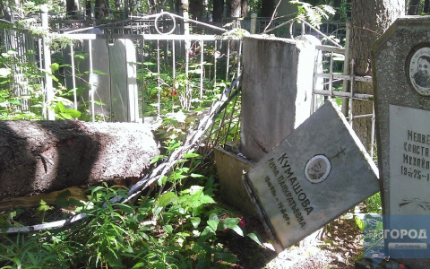 На сыктывкарском кладбище деревья разрушили могилы (фото)