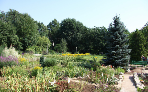 Погода на 15 августа: тепло, но не очень