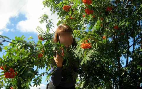 Туристка из Сыктывкара погибла под камнепадом в Киргизии