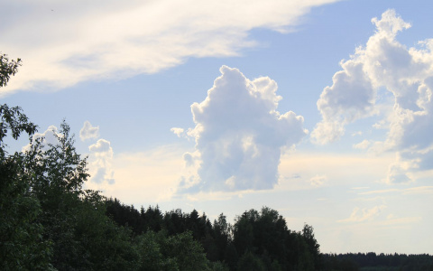 Погода на 16 августа: синоптики обещают легкий ветер и много облаков