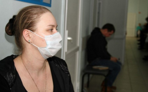 Этой зимой в Коми будет буйствовать вирус гриппа «Мичиган»