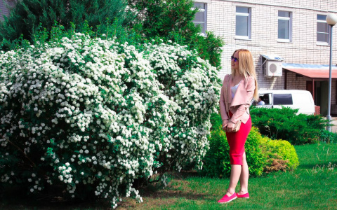 Погода в Сыктывкаре на 17 августа: лето продолжается