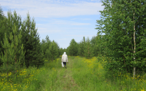 Житель Коми прошел 400 километров пешком, чтобы не видеть родных