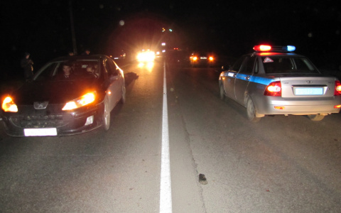 Мэрия Сыктывкара сказала, почему было темно на месте ДТП, где мужчине оторвало голову