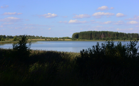 Синоптики рассказали, ждать ли сыктывкарцам продолжения лета