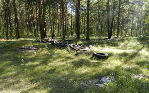 В лесу под Сыктывкаром спасатели нашли  молодую женщину