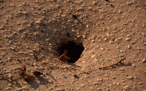 В Сыктывкаре во дворе дома внезапно образовалась дыра глубиной в полтора метра (фото)
