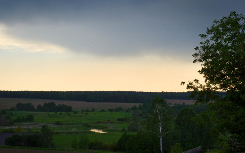Погода в Сыктывкаре на 19 августа: возможно пройдет гроза