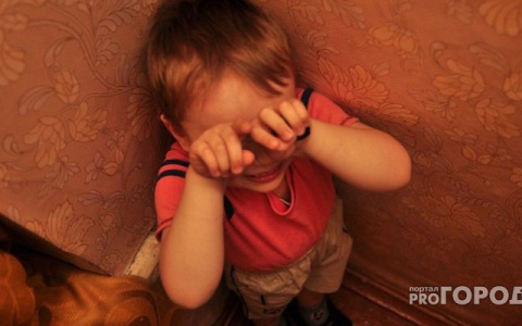 Сыктывкарцы о многодетной женщине из Коми: «Дети голодают по ее вине»